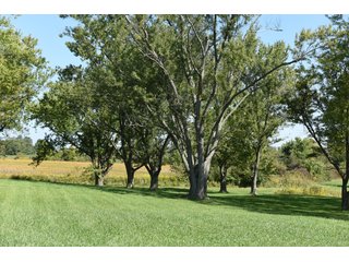 Property photo 29 - Tillable, Pasture, Recreational, Hunting and Fishing Property  